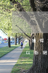 未獲得父母財(cái)產(chǎn)，可以拒絕贍養(yǎng)嗎？